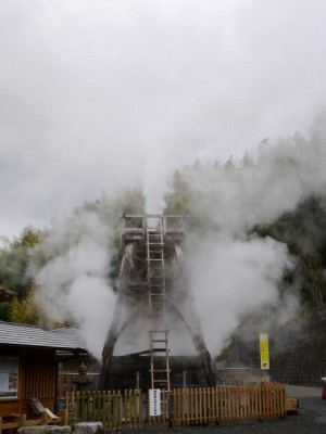 河津川遊歩道の写真11