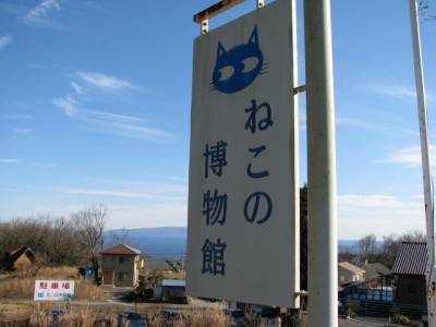 伊豆高原ねこの博物館の写真