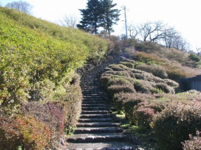 小室山公園の写真7