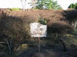 小室山公園つつじ園の写真のサムネイル写真5