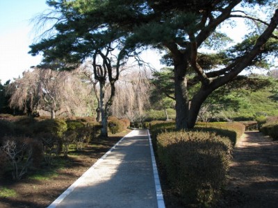 小室山公園つつじ園の写真7