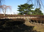 小室山公園つつじ園の写真のサムネイル写真7