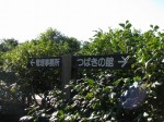 小室山公園つばき園の写真のサムネイル写真4