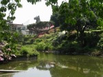 伊豆シャボテン公園の写真のサムネイル写真5