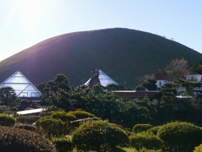 伊豆シャボテン公園の写真25