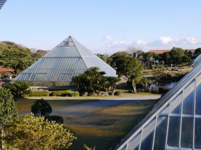 伊豆シャボテン公園の写真30