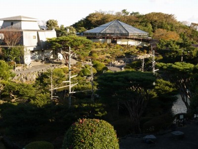 伊豆シャボテン公園の写真31