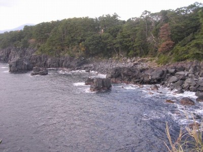 城ヶ崎海岸自然研究路コースの写真