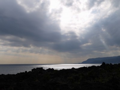 城ヶ崎海岸自然研究路コースの写真11