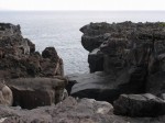 城ヶ崎海岸自然研究路コースの写真のサムネイル写真11