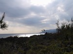 城ヶ崎海岸自然研究路コースの写真のサムネイル写真14