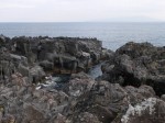 城ヶ崎海岸自然研究路コースの写真のサムネイル写真16