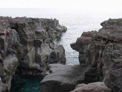 城ヶ崎海岸自然研究路コースの写真19