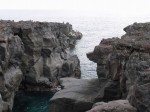 城ヶ崎海岸自然研究路コースの写真のサムネイル写真18