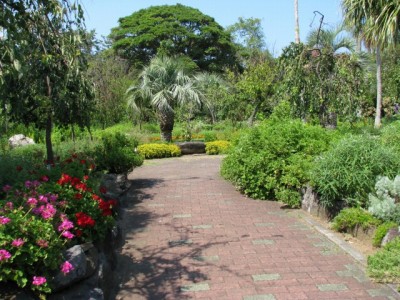 伊豆四季の花公園の写真3