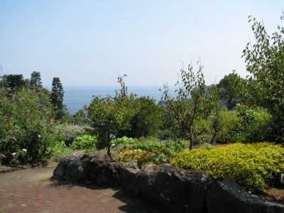 伊豆四季の花公園の写真4