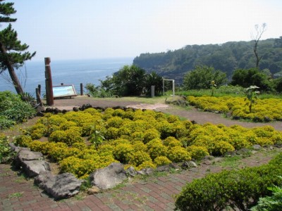 伊豆四季の花公園の写真11