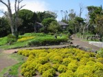 伊豆四季の花公園の写真のサムネイル写真15