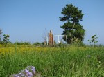 伊豆四季の花公園の写真のサムネイル写真17