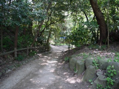 柿田川公園の写真3