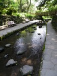 柿田川公園の写真のサムネイル写真7