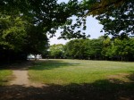 柿田川公園の写真のサムネイル写真8