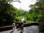 柿田川公園の写真のサムネイル写真11