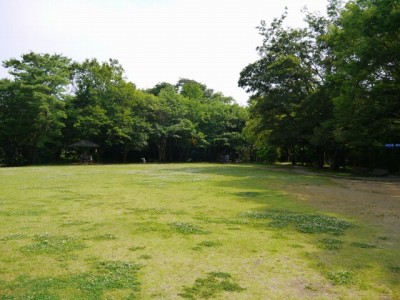 柿田川公園の写真16