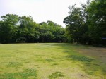 柿田川公園の写真のサムネイル写真15