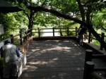 柿田川公園の写真のサムネイル写真24