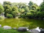 柿田川公園の写真のサムネイル写真25