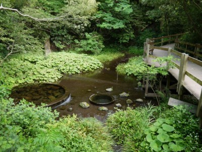 柿田川公園の写真28