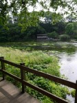 柿田川公園の写真のサムネイル写真31