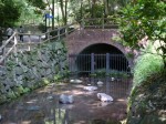 柿田川公園の写真のサムネイル写真39