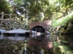 柿田川公園の写真のサムネイル写真58