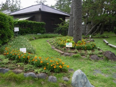 沼津御用邸記念公園の写真8