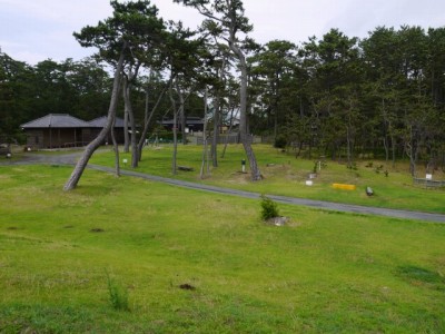 沼津御用邸記念公園の写真12