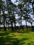 沼津御用邸記念公園の写真のサムネイル写真25