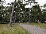 港口公園（沼津）の写真のサムネイル写真5