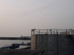 港口公園（沼津）の写真のサムネイル写真8