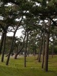 港口公園（沼津）の写真のサムネイル写真9