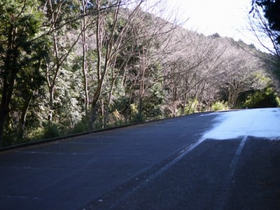 原生の森公園の写真