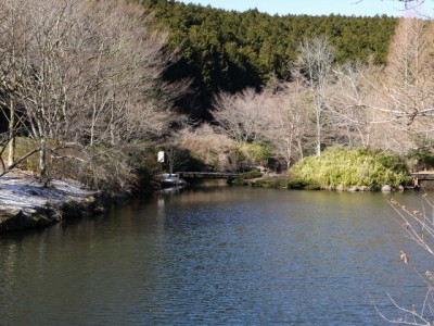 原生の森公園の写真5