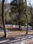 原生の森公園の写真のサムネイル写真5