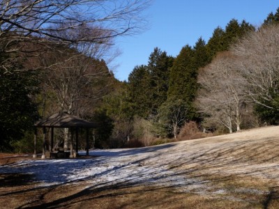 原生の森公園の写真7