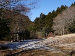 原生の森公園の写真のサムネイル写真6