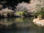 原生の森公園の写真のサムネイル写真7