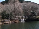 原生の森公園の写真のサムネイル写真8