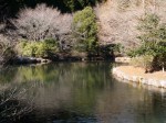 原生の森公園の写真のサムネイル写真9