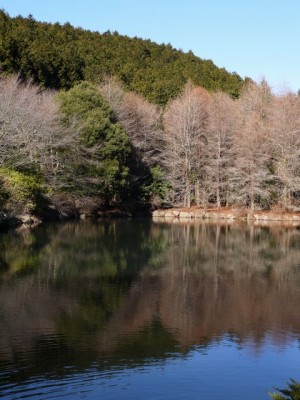 原生の森公園の写真12